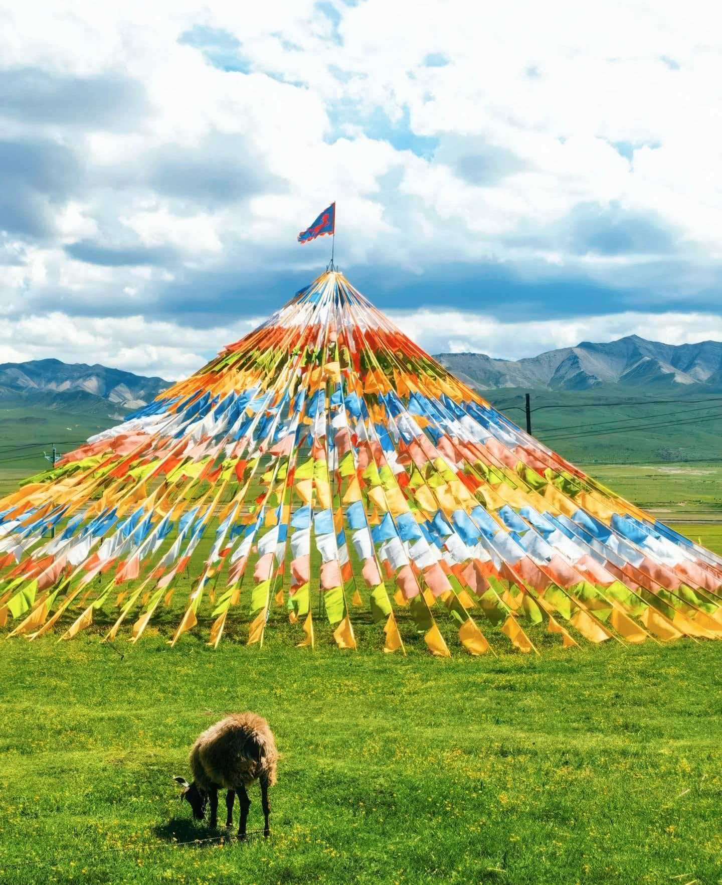 26040714595459018.jpg